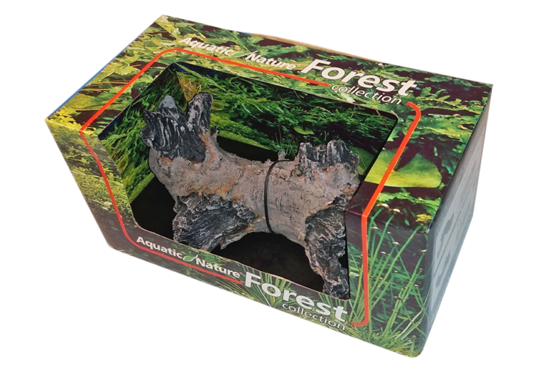 Forest 5