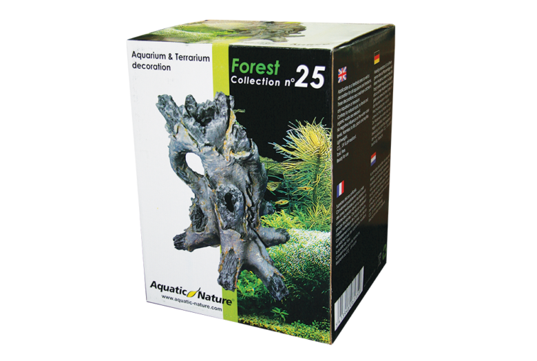 Forest 25