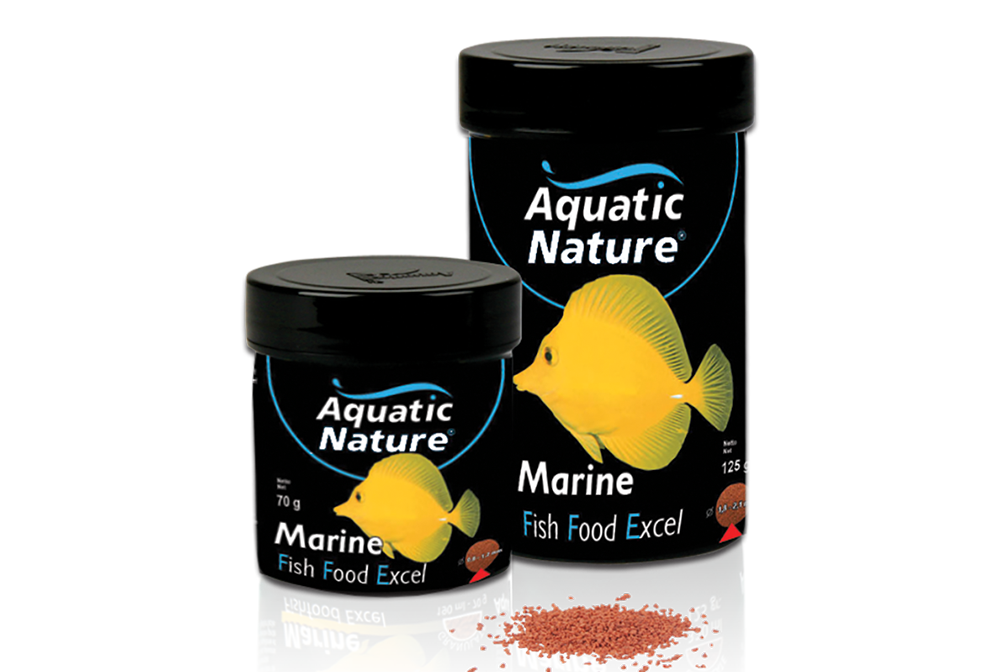 Marine Fish Food Excel Aquatic Nature